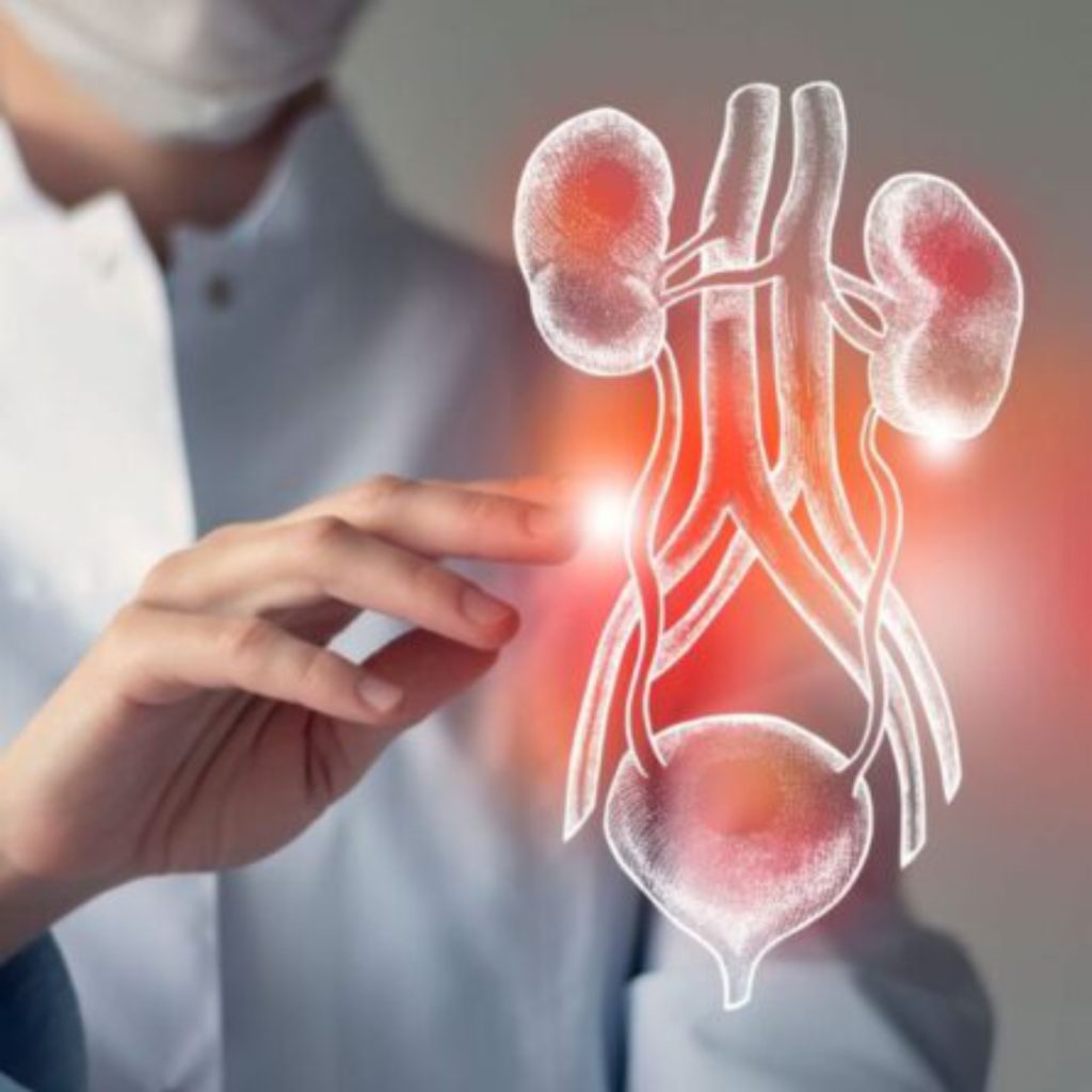 Urologia