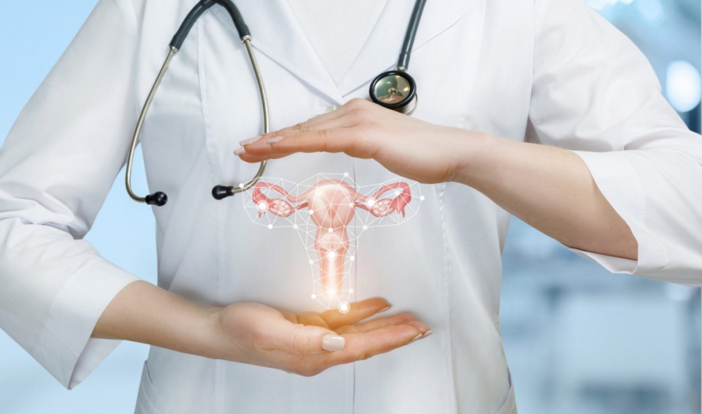 Ginecologia e Obstetrícia no IMCI